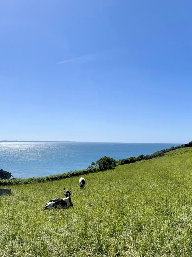 Vallée de Goas Lagorn - Beg Léguer