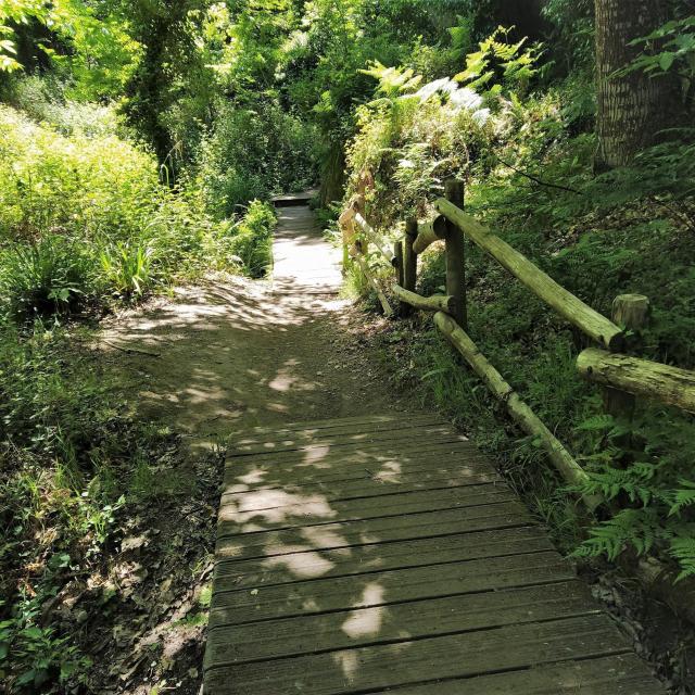 vallee-des-traouiero-tregastel-3.jpg