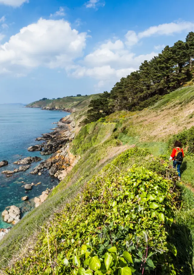 Rando sur les falaises de Trédrez Locquémeau