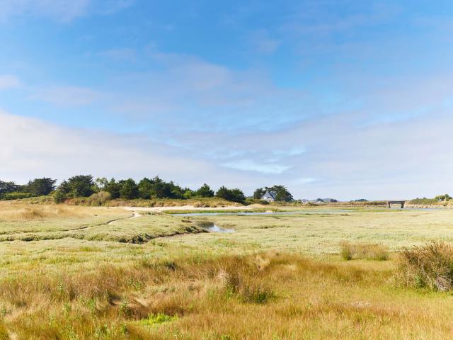 Toul Gwenn