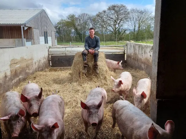 Visite commentée de la Ferme de Kernéan - Elevage porcin bio à Pleumeur-Bodou