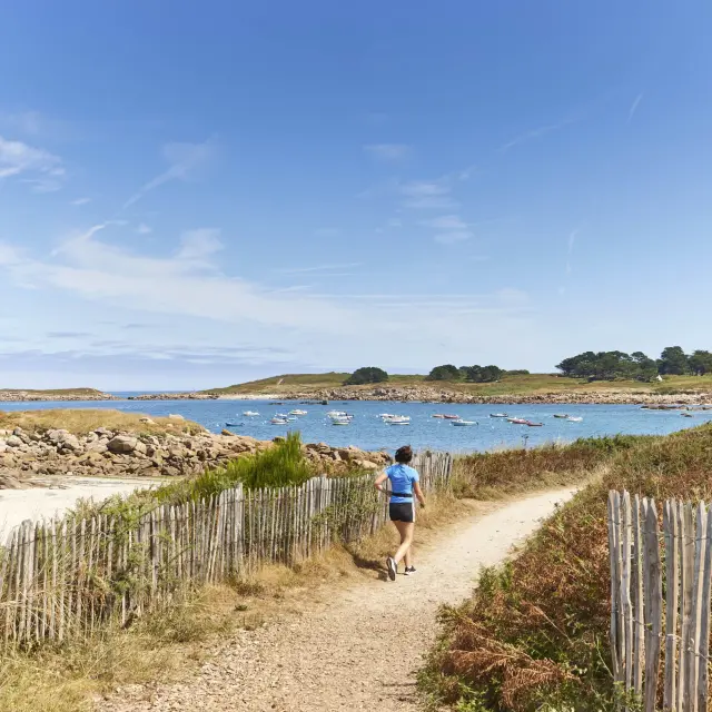 Trail sur le GR34 à Landrellec - Pleumeur-Bodou