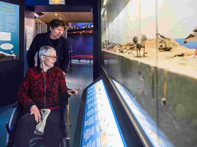 que faire en Bretagne quand il pleut