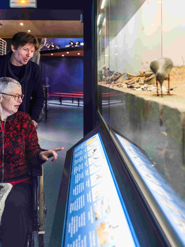 que faire en Bretagne quand il pleut