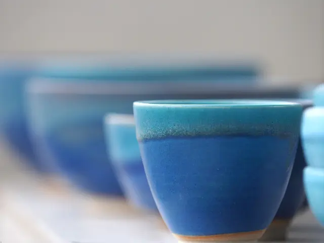 Olivier Roche - Céramiste