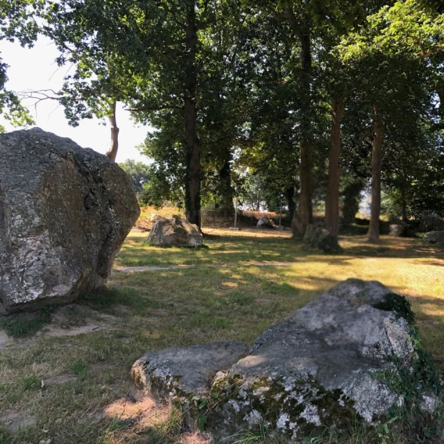 Alignement mégalithique - Pleslin-Trigavou