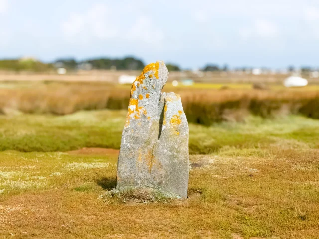 Menhir de Toëno - Trébeurden