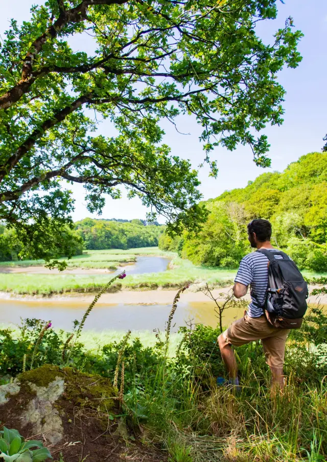 Un randonneur devant les méandres d'un fleuve côtier breton Le Douron