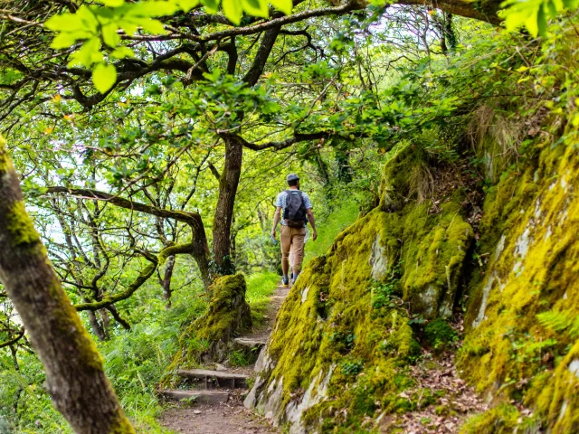 Randonnée à Plestin-les-Grèves
