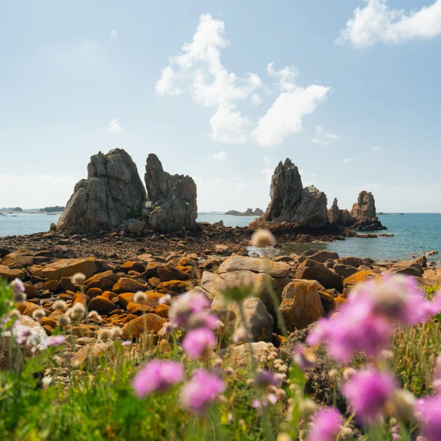 265 Cote De Granit Rose 2024 Hd