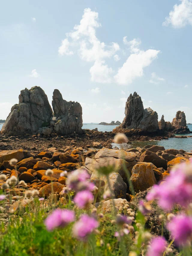 265 Cote De Granit Rose 2024 Hd