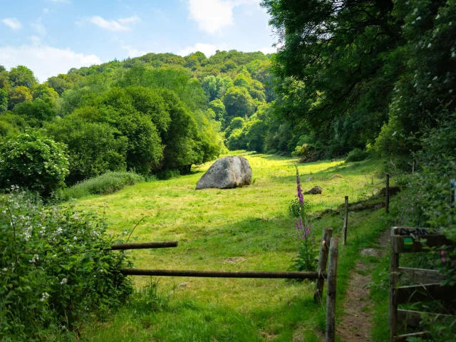 Site de Kernansquillec : rocher dans un pré dans le fond du site