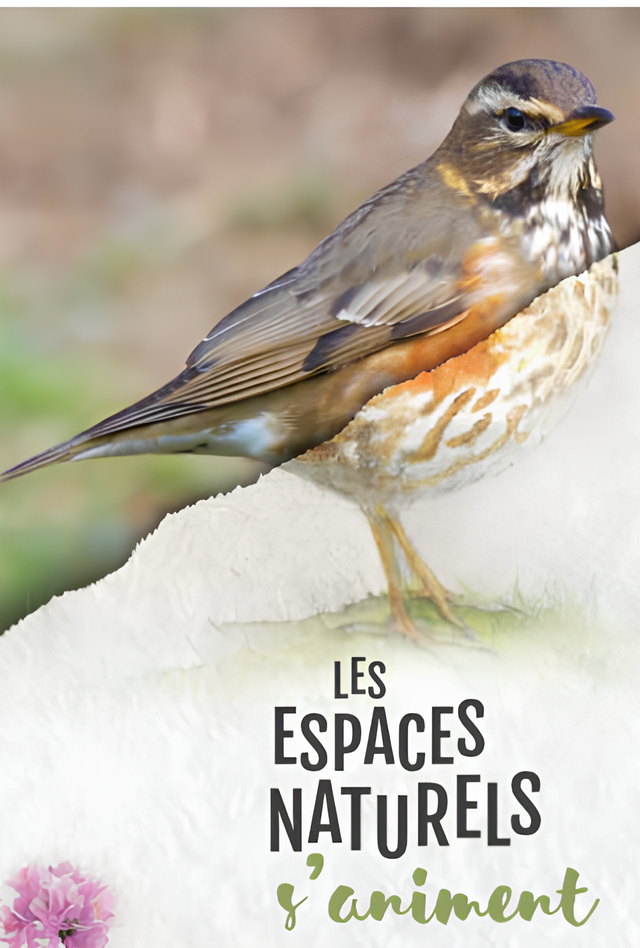 Brochure Espaces Naturels s'animent