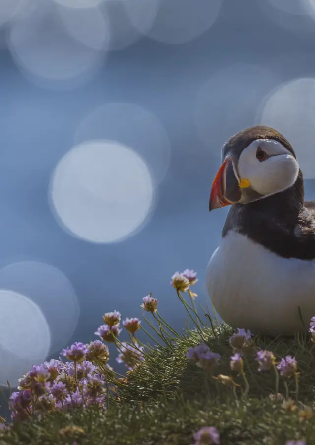 Cotes Armor Fabien Coisy13