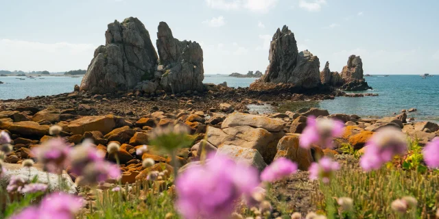 Rocher à marée basse à Plougrescant