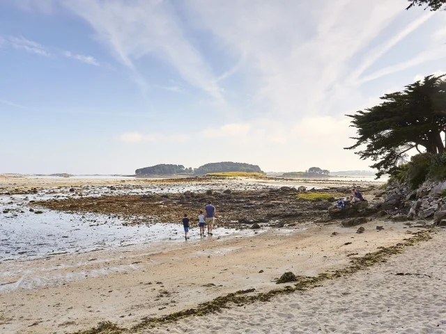 Pique-nique Plage de Keryvon à Trébeurden