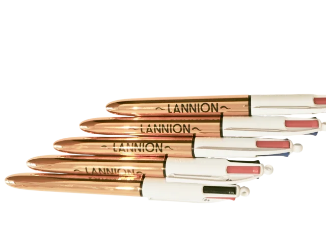 Bic Bronze Lannion