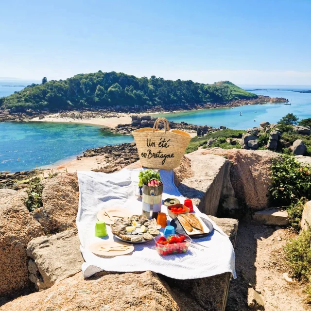Pique-nique au Castel face à l'Ile Milliau - Trébeurden