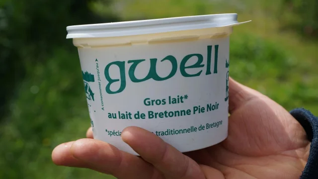 Der Gwell