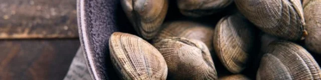 Gefüllte Venusmuscheln 3 691x1024 1