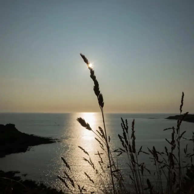 Instagram #cotedegranitrose