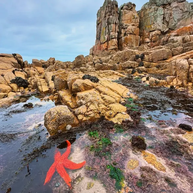 Instagram #cotedegranitrose