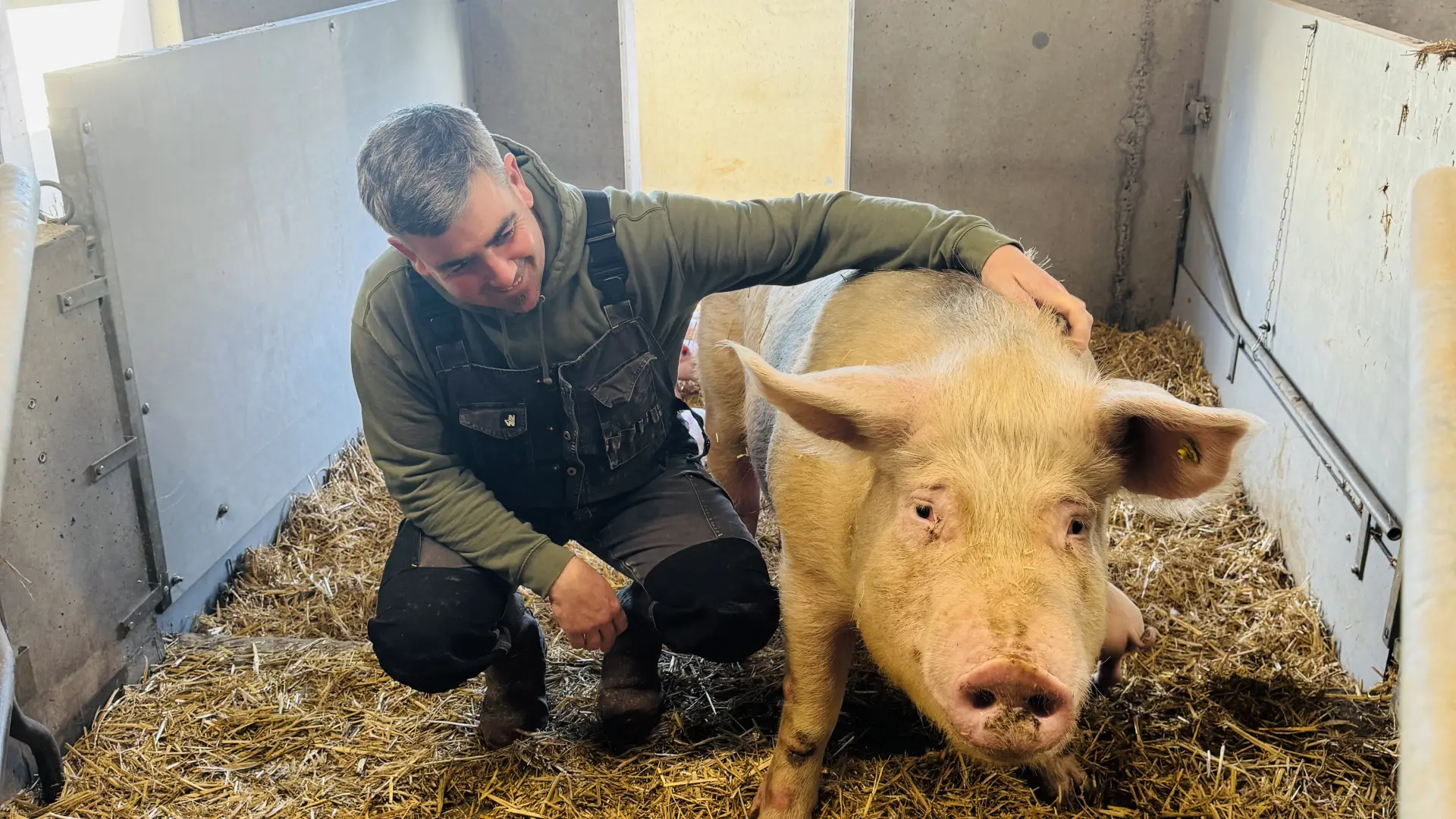 Antoine Person souriant et accroupi à côté d'une truie