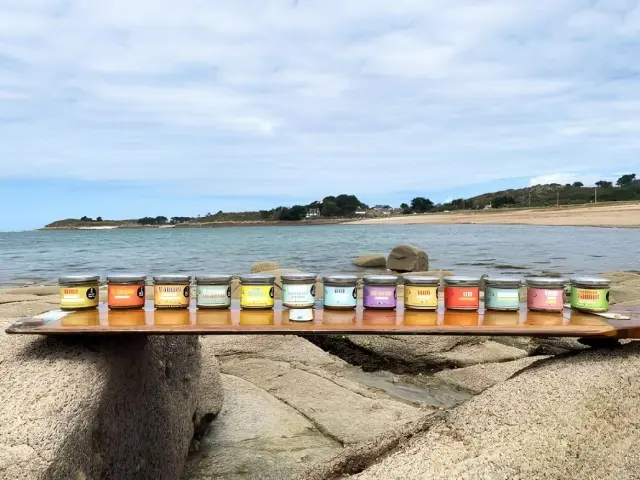13 pots de rillettes de la Conserverie du Trégor posés sur une planche en bois sur des rochers face à la mer