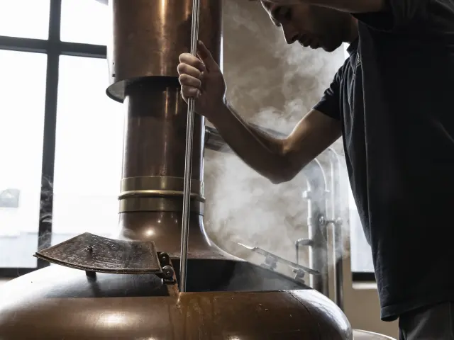 Visite de la brasserie Warenghem