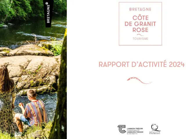 Couv Rapport Dactivite 2024 1