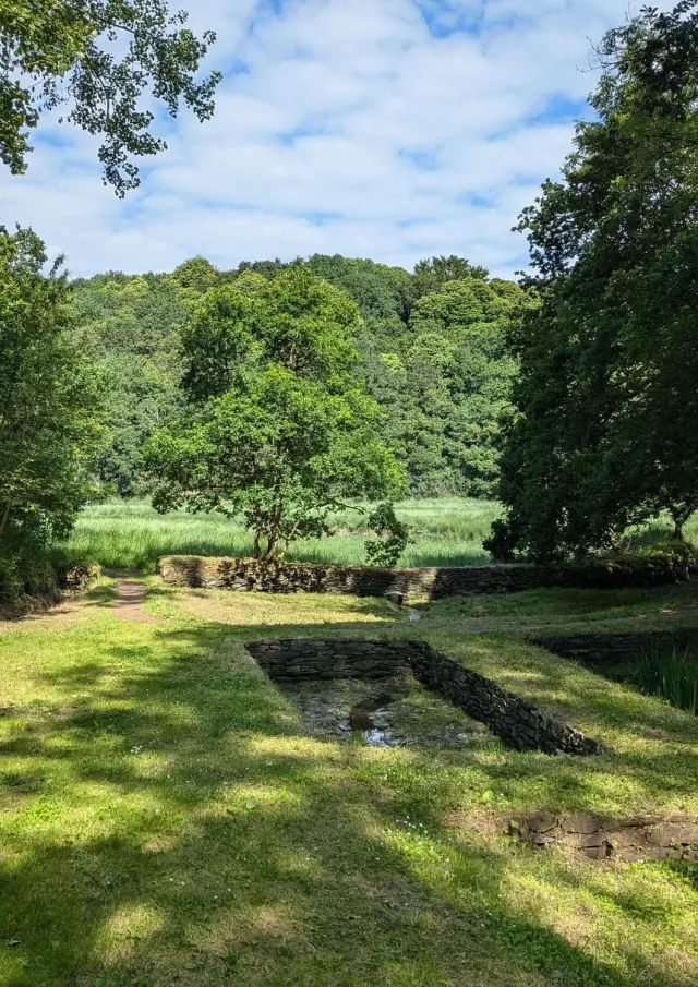 Un routoir à lin dans d'une clairière