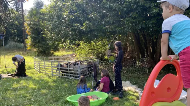Des enfants jouent dans un parc arboré