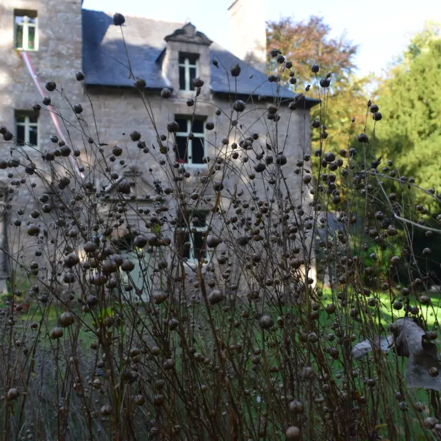 Goaz Froment Lin Manoir Vieux Marche Bo Muhlmann