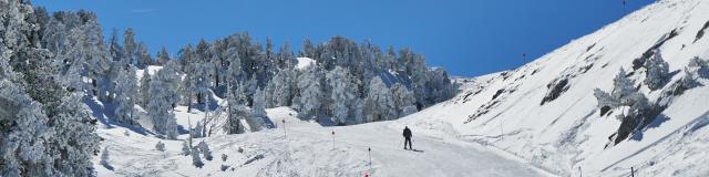 Descente à ski station de La Pierre Saint-Martin (Béarn Pyrénées)