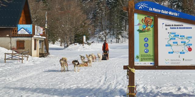 Chiens de traineau sur l'espace nordique de La Pierre Saint-Martin (Pyrénées béarnaises)