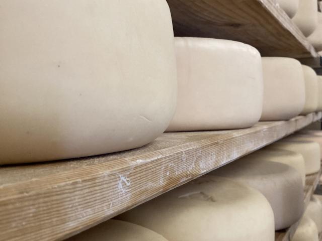 Les fromages d’estive fabriqués à La Pierre Saint-Martin sont affinés dans un saloir situé à côté de la cabane du berger