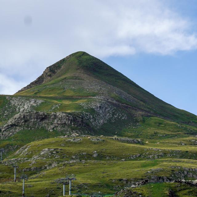 sur les pentes du pic d'Arlas en été pastoralisme et activités