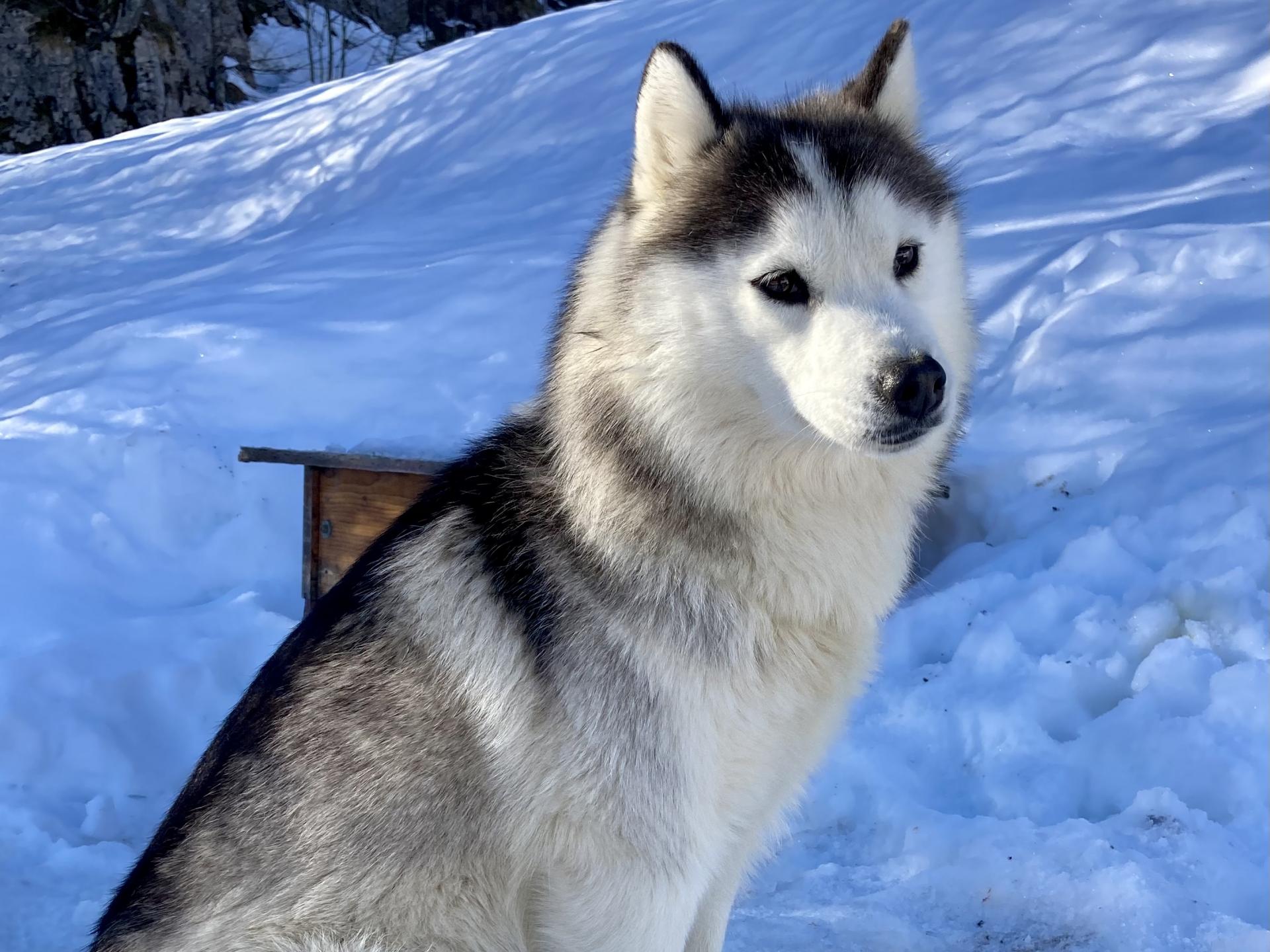 Webcam La Pierre SaintMartin Webcam enneigement Arette Station de ski La Pierre SaintMartin Webcam La Pierre SaintMartin Webcam enneigement Arette Station de ski La Pierre SaintMartin