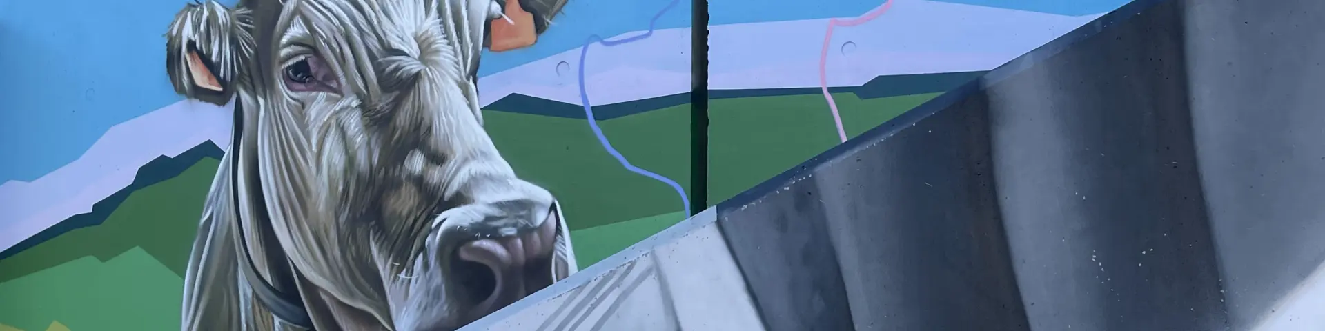 La fresque de l'artiste de street art Matias Mata évoque le pastoralisme et les bergers à La Pierre Saint-Martin