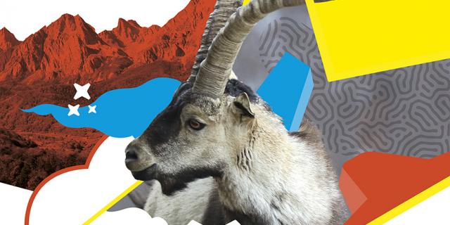 Guide été des Pyrénées béarnaises