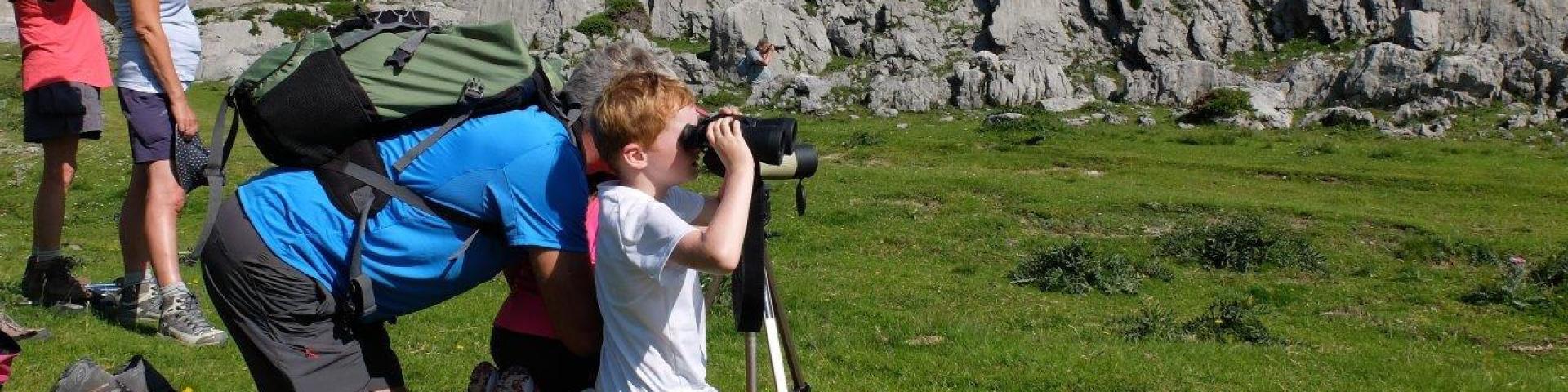 Le temps d'une randonnée accompagnée facile, approchez les marmottes à La Pierre Saint-Martin