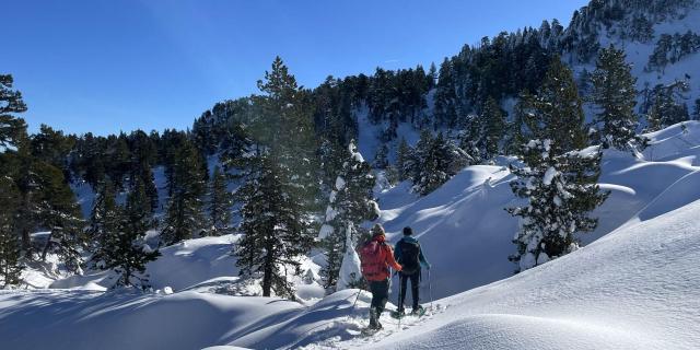 Sortie en raquettes avec un accompagnateur au départ de La Pierre Saint-Martin