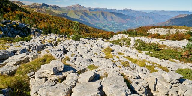 Le lapiaz de La Pierre Saint-Martin est un des plus étendus d'Europe