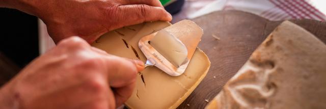 Retrouvez le fromage de nos producteurs dans les cabanes de bergers en été à La Pierre Saint-Martin