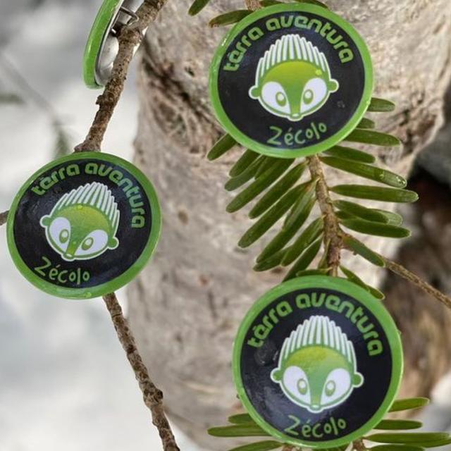 Le parcours Tèrra Aventura Fracas au Braca permet une découverte de la forêt de pins à crochets