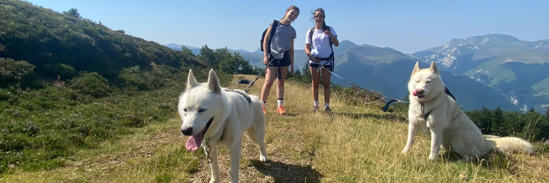 Profitez d'une sortie en cani-marche encadréee pour apprécier pleinement la nature et ses paysages
