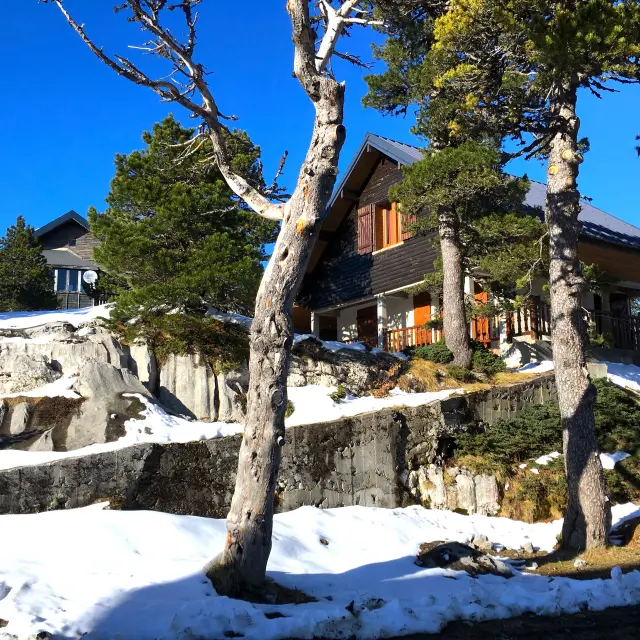 Chalet Lpsm 1 2017 @charlotterecoq