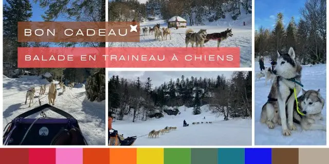 Bon Cadeau Balade Traineau A Chiens