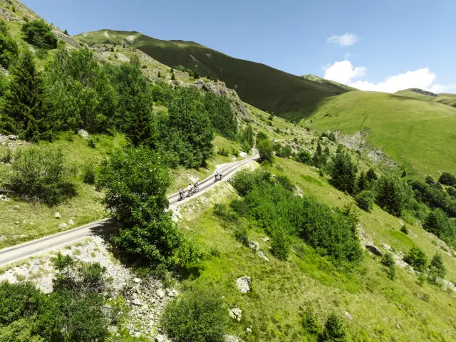 Route en lacets bordée de végétation dense dans une vallée montagneuse