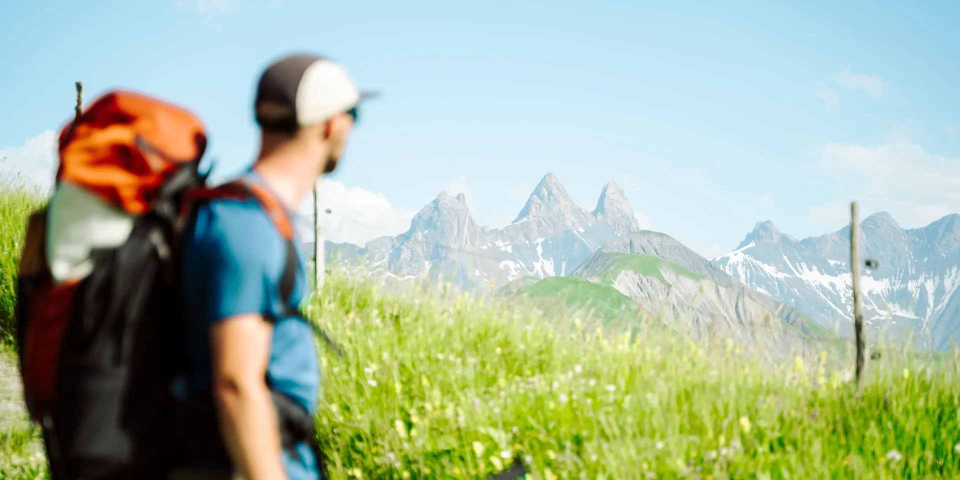Deux personnes en tenue de randonnée, l'une tenant un bâton, marchant dans un champ de fleurs avec des montagnes enneigées en arrière-plan